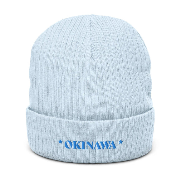 Ribbed Knit Beanie - Premium Beanies from Atlantis - Just $17.25! Shop now at Arekkusu-Store