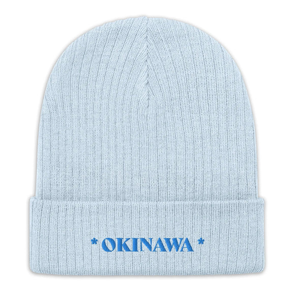 Ribbed Knit Beanie - Premium Beanies from Atlantis - Just $17.25! Shop now at Arekkusu-Store