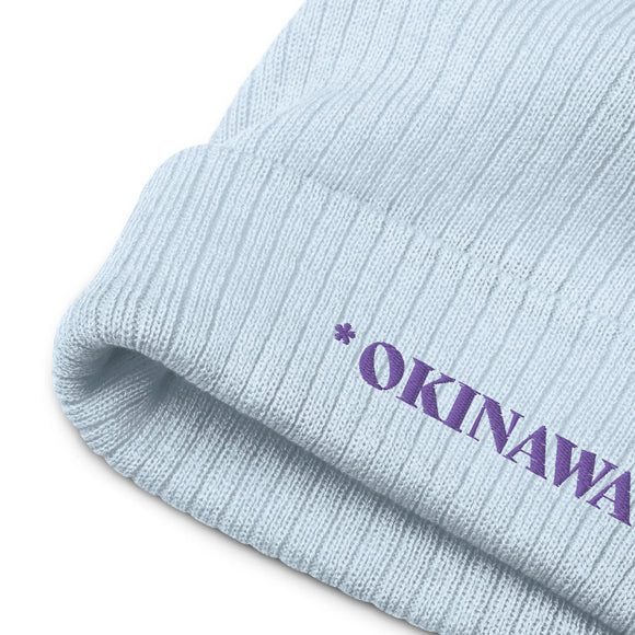 Ribbed Knit Beanie - Premium Beanies from Atlantis - Just $17.25! Shop now at Arekkusu-Store