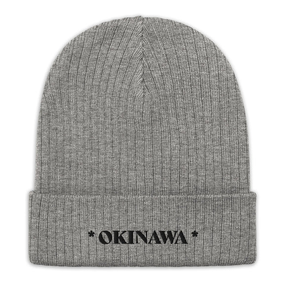 Ribbed Knit Beanie - Premium Beanies from Atlantis - Just $17.25! Shop now at Arekkusu-Store