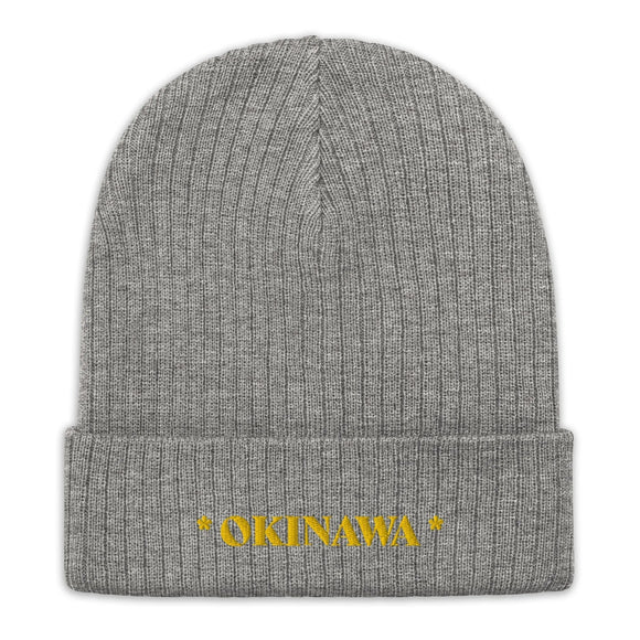 Ribbed Knit Beanie - Premium Beanies from Atlantis - Just $17.25! Shop now at Arekkusu-Store