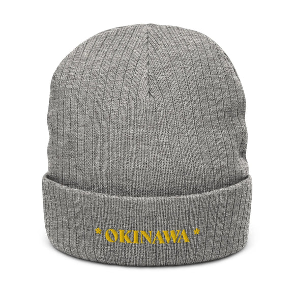 Ribbed Knit Beanie - Premium Beanies from Atlantis - Just $17.25! Shop now at Arekkusu-Store