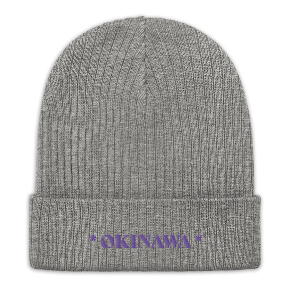 Ribbed Knit Beanie - Premium Beanies from Atlantis - Just $17.25! Shop now at Arekkusu-Store