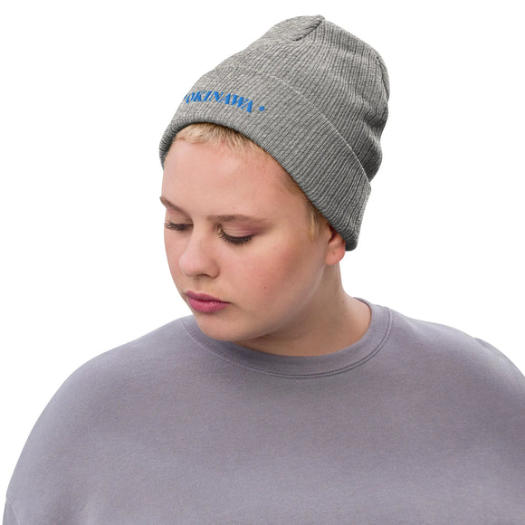 Ribbed Knit Beanie - Premium Beanies from Atlantis - Just $17.25! Shop now at Arekkusu-Store
