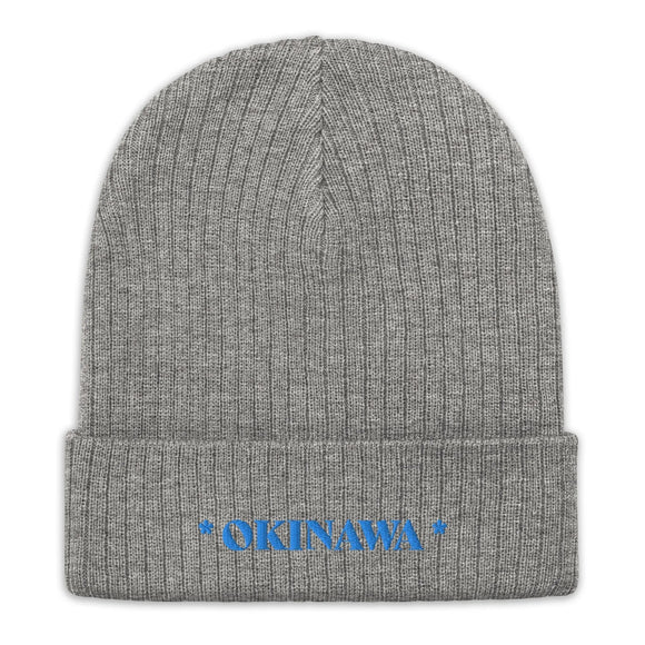 Ribbed Knit Beanie - Premium Beanies from Atlantis - Just $17.25! Shop now at Arekkusu-Store
