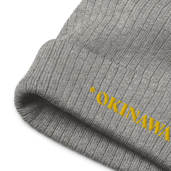 Ribbed Knit Beanie - Premium Beanies from Atlantis - Just $17.25! Shop now at Arekkusu-Store