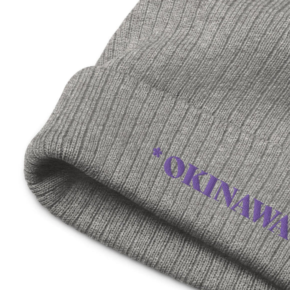 Ribbed Knit Beanie - Premium Beanies from Atlantis - Just $17.25! Shop now at Arekkusu-Store