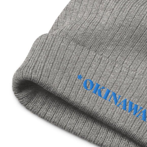 Ribbed Knit Beanie - Premium Beanies from Atlantis - Just $17.25! Shop now at Arekkusu-Store