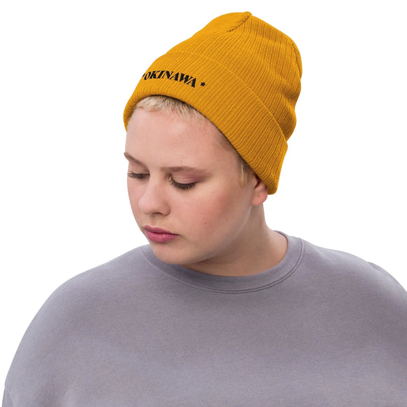 Ribbed Knit Beanie - Premium Beanies from Atlantis - Just $17.25! Shop now at Arekkusu-Store