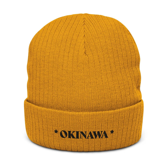 Ribbed Knit Beanie - Premium Beanies from Atlantis - Just $17.25! Shop now at Arekkusu-Store