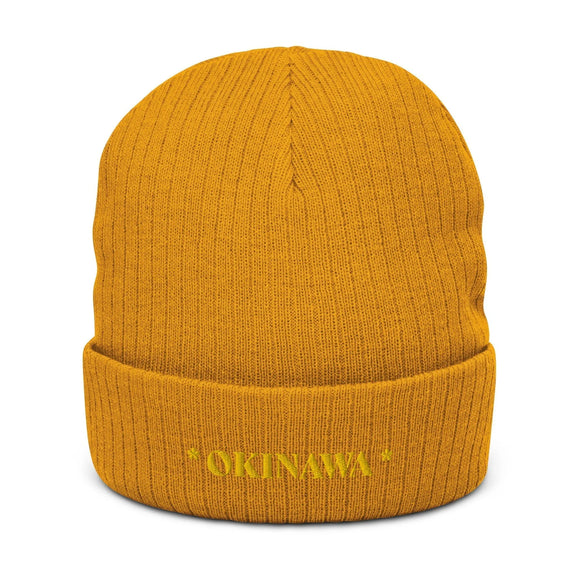 Ribbed Knit Beanie - Premium Beanies from Atlantis - Just $17.25! Shop now at Arekkusu-Store