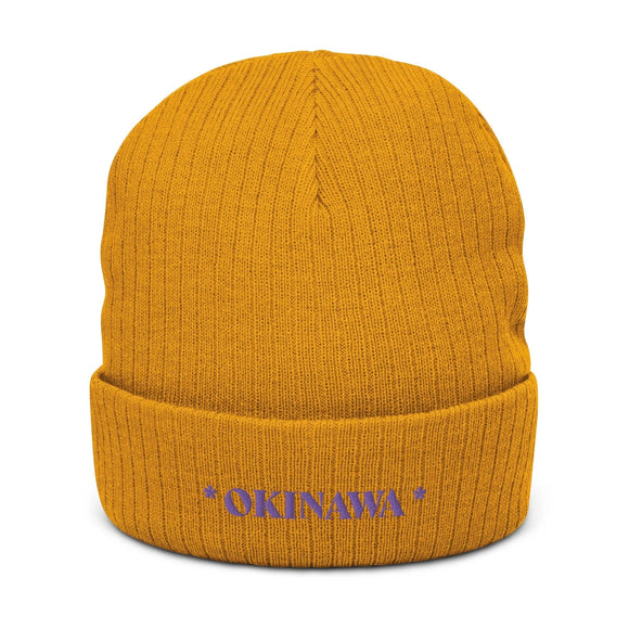 Ribbed Knit Beanie - Premium Beanies from Atlantis - Just $17.25! Shop now at Arekkusu-Store