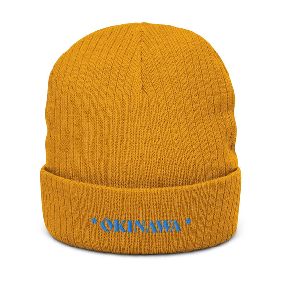 Ribbed Knit Beanie - Premium Beanies from Atlantis - Just $17.25! Shop now at Arekkusu-Store