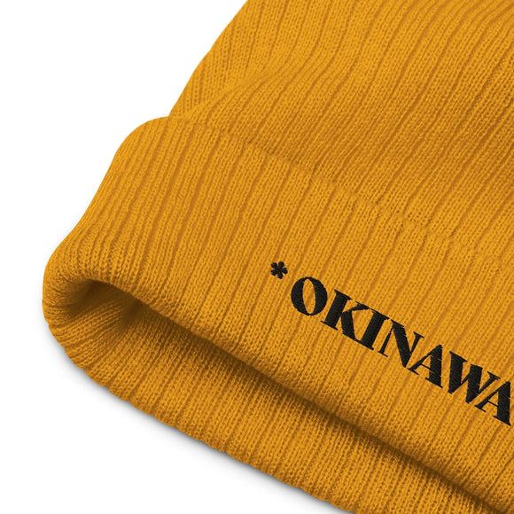 Ribbed Knit Beanie - Premium Beanies from Atlantis - Just $17.25! Shop now at Arekkusu-Store