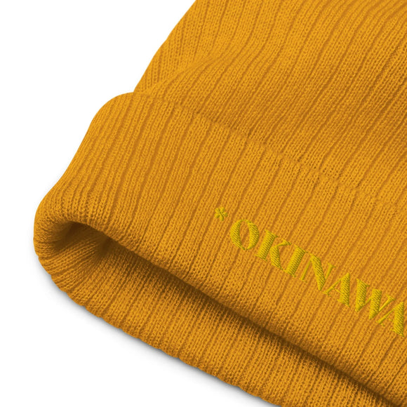 Ribbed Knit Beanie - Premium Beanies from Atlantis - Just $17.25! Shop now at Arekkusu-Store
