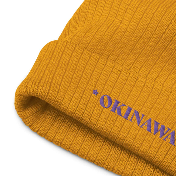 Ribbed Knit Beanie - Premium Beanies from Atlantis - Just $17.25! Shop now at Arekkusu-Store