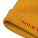Ribbed Knit Beanie - Premium Beanies from Atlantis - Just $25! Shop now at Arekkusu-Store
