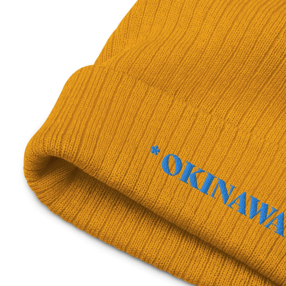 Ribbed Knit Beanie - Premium Beanies from Atlantis - Just $17.25! Shop now at Arekkusu-Store