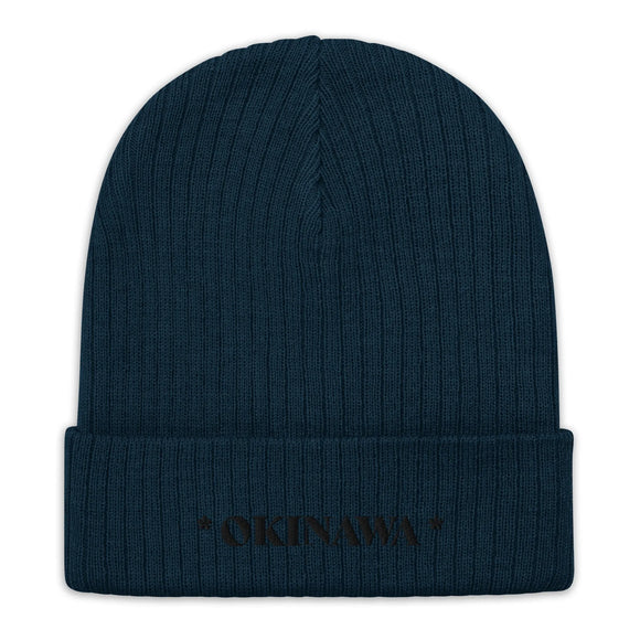 Ribbed Knit Beanie - Premium Beanies from Atlantis - Just $17.25! Shop now at Arekkusu-Store