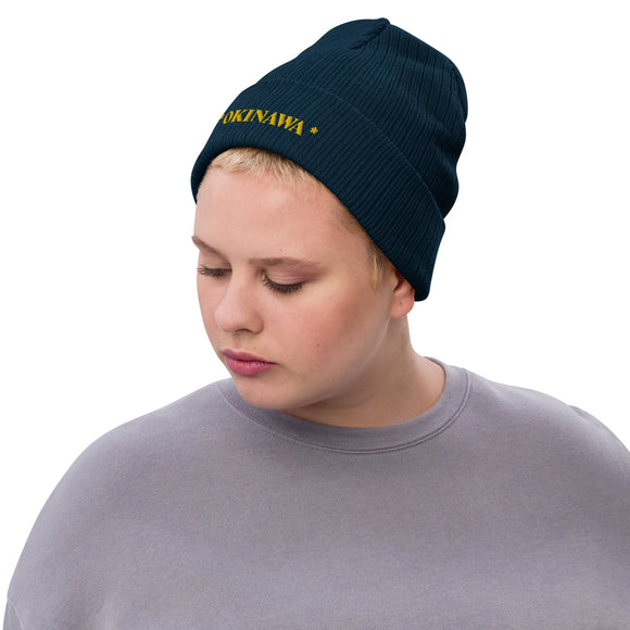 Ribbed Knit Beanie - Premium Beanies from Atlantis - Just $17.25! Shop now at Arekkusu-Store