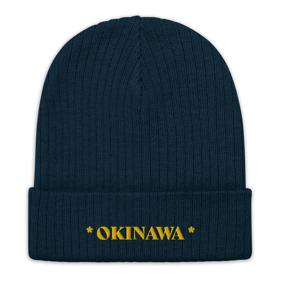 Ribbed Knit Beanie - Premium Beanies from Atlantis - Just $17.25! Shop now at Arekkusu-Store