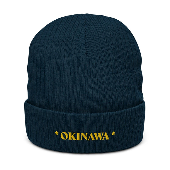 Ribbed Knit Beanie - Premium Beanies from Atlantis - Just $17.25! Shop now at Arekkusu-Store
