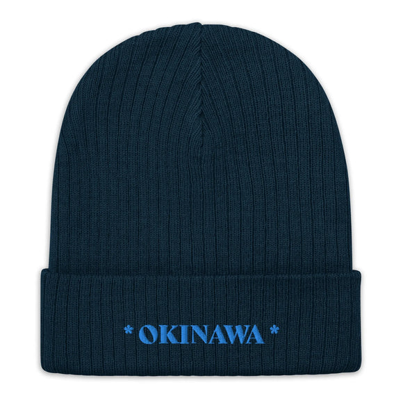 Ribbed Knit Beanie - Premium Beanies from Atlantis - Just $17.25! Shop now at Arekkusu-Store