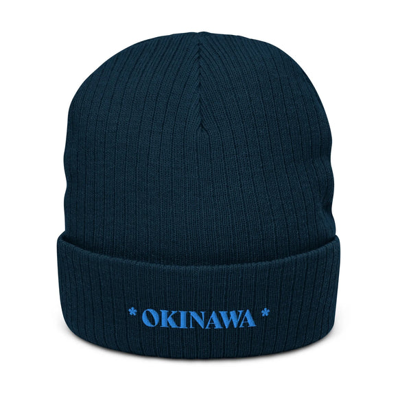 Ribbed Knit Beanie - Premium Beanies from Atlantis - Just $17.25! Shop now at Arekkusu-Store