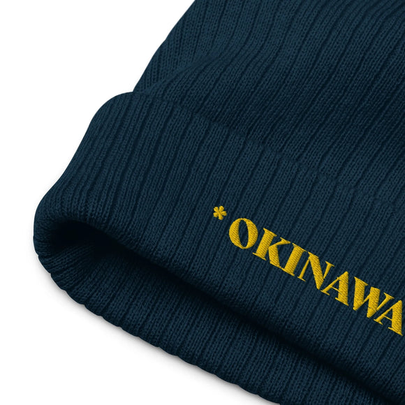 Ribbed Knit Beanie - Premium Beanies from Atlantis - Just $17.25! Shop now at Arekkusu-Store