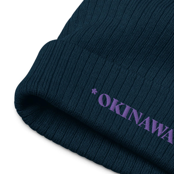 Ribbed Knit Beanie - Premium Beanies from Atlantis - Just $17.25! Shop now at Arekkusu-Store