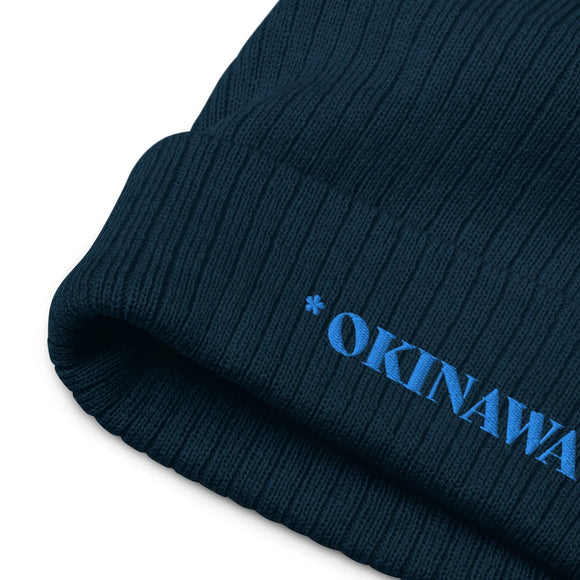 Ribbed Knit Beanie - Premium Beanies from Atlantis - Just $17.25! Shop now at Arekkusu-Store