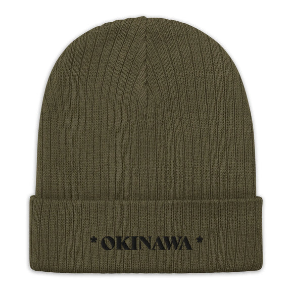 Ribbed Knit Beanie - Premium Beanies from Atlantis - Just $17.25! Shop now at Arekkusu-Store