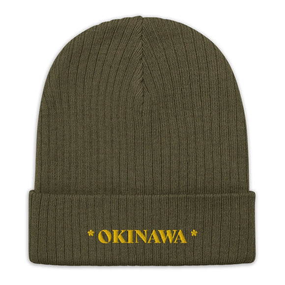 Ribbed Knit Beanie - Premium Beanies from Atlantis - Just $17.25! Shop now at Arekkusu-Store
