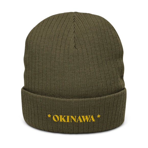 Ribbed Knit Beanie - Premium Beanies from Atlantis - Just $17.25! Shop now at Arekkusu-Store