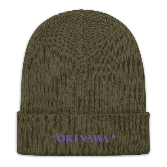 Ribbed Knit Beanie - Premium Beanies from Atlantis - Just $17.25! Shop now at Arekkusu-Store