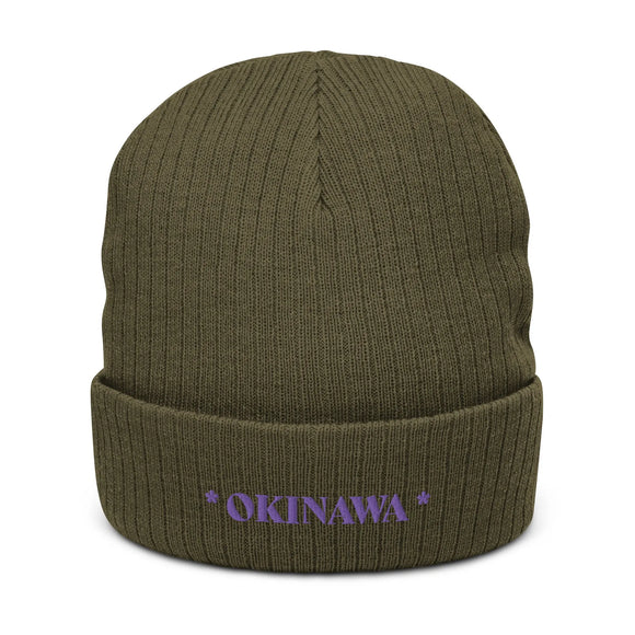 Ribbed Knit Beanie - Premium Beanies from Atlantis - Just $17.25! Shop now at Arekkusu-Store
