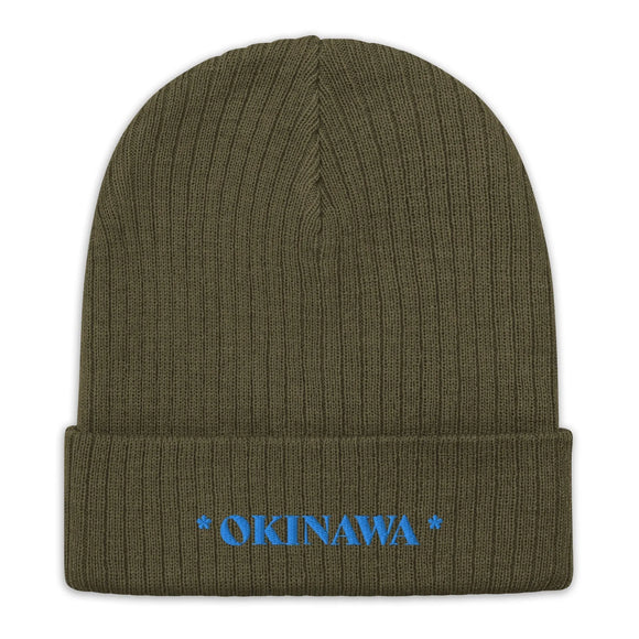 Ribbed Knit Beanie - Premium Beanies from Atlantis - Just $17.25! Shop now at Arekkusu-Store