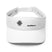 Stylish Visor - Arekkusu - Store