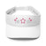Stylish Visor - Arekkusu - Store