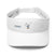 Stylish Visor - Arekkusu - Store