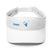 Stylish Visor - Arekkusu - Store