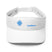 Stylish Visor - Arekkusu - Store