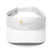 Stylish Visor - Arekkusu - Store