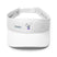 Stylish Visor - Arekkusu - Store