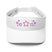 Stylish Visor - Arekkusu - Store
