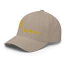 Unisex Closed - Back Structured Cap - Arekkusu - Store