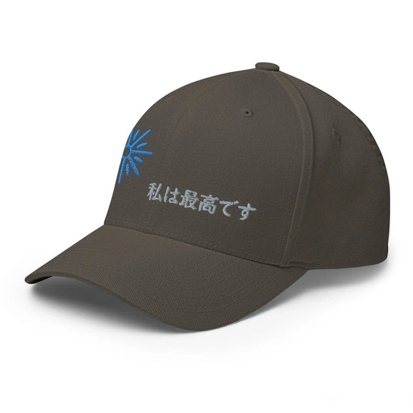 Unisex Closed - Back Structured Cap - Arekkusu - Store