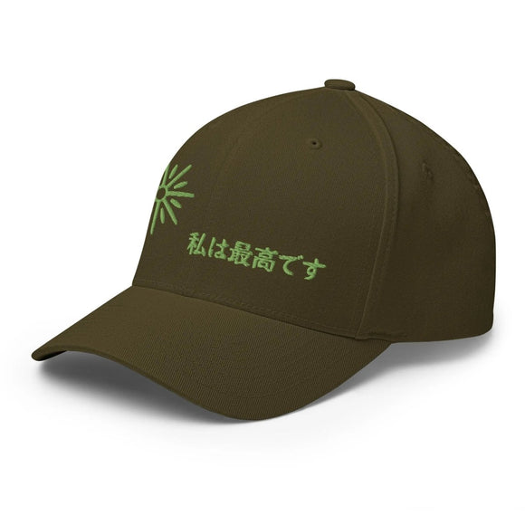 Unisex Closed - Back Structured Cap - Arekkusu - Store