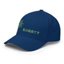 Unisex Closed - Back Structured Cap - Arekkusu - Store