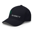 Unisex Closed - Back Structured Cap - Arekkusu - Store